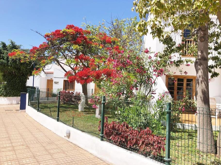 Apartamento Lucia Garden City Con Piscina Climatizada Playa Feñabe 外观 照片