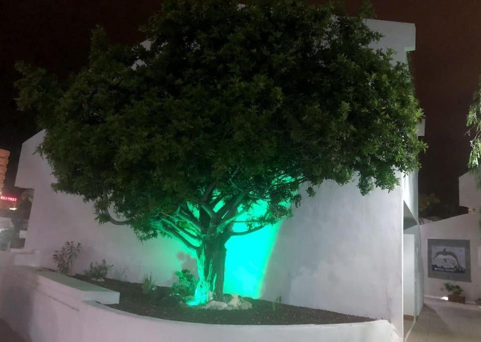 Apartamento Lucia Garden City Con Piscina Climatizada Playa Feñabe 外观 照片