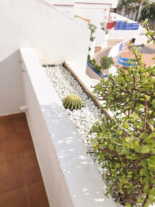 Apartamento Lucia Garden City Con Piscina Climatizada Playa Feñabe 外观 照片
